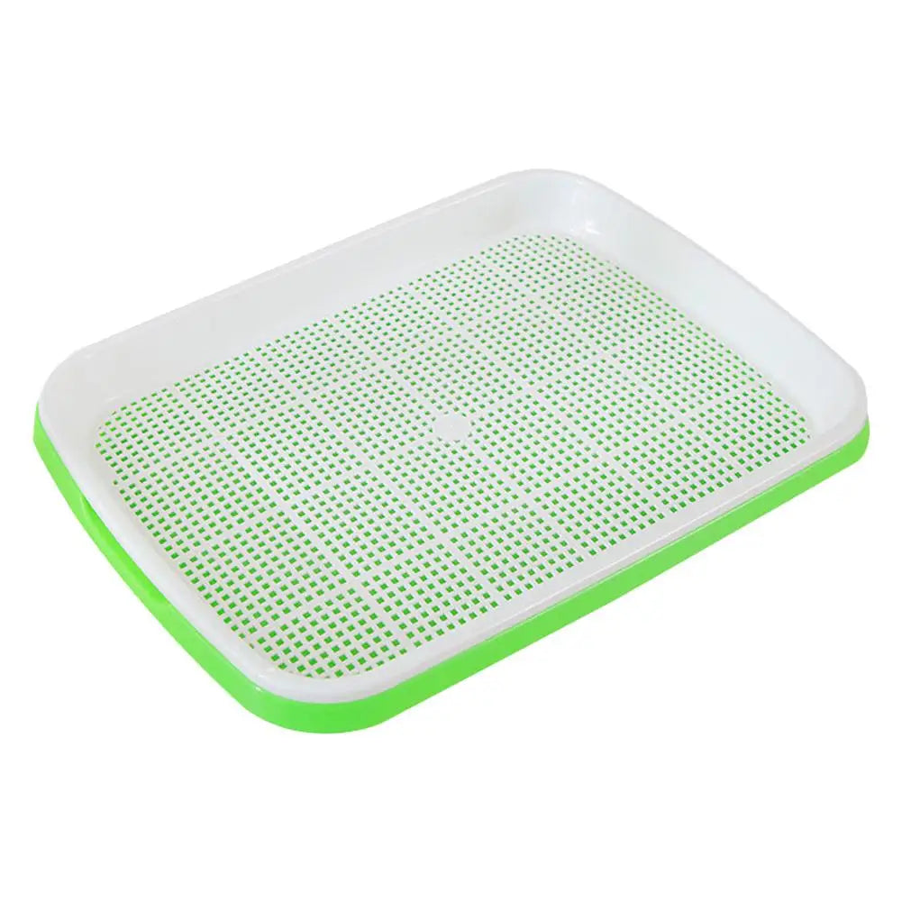 Home Seed Germination Tray Sprout Vegetable Seedling Tray Soilless Cultivation Hydroponic Equipment Plant Nursery Pots