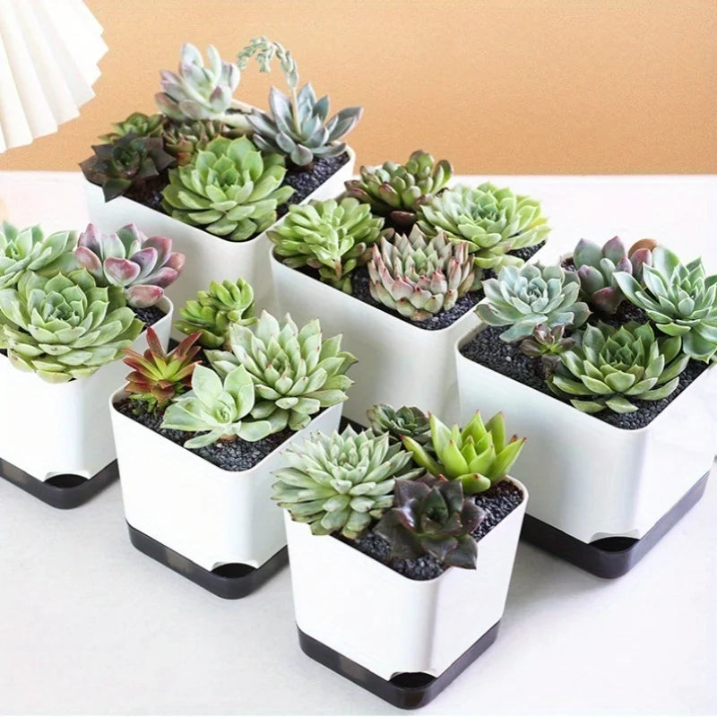 5Pcs Self Watering Plant Pot, Flower Planters, Modern Flower Pots with Water Reservoir, Mini Plant Pots Herb Garden Planter