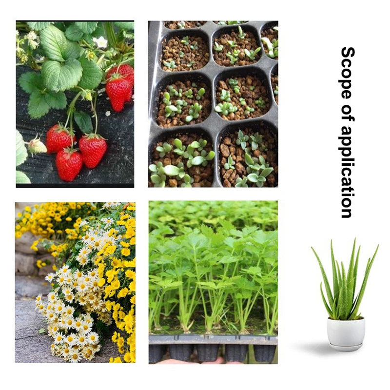 10Pcs Seedling Trays Plastic Gardening Germination Trays Black Seedling Container Garden Supplies For Vegetable Flower