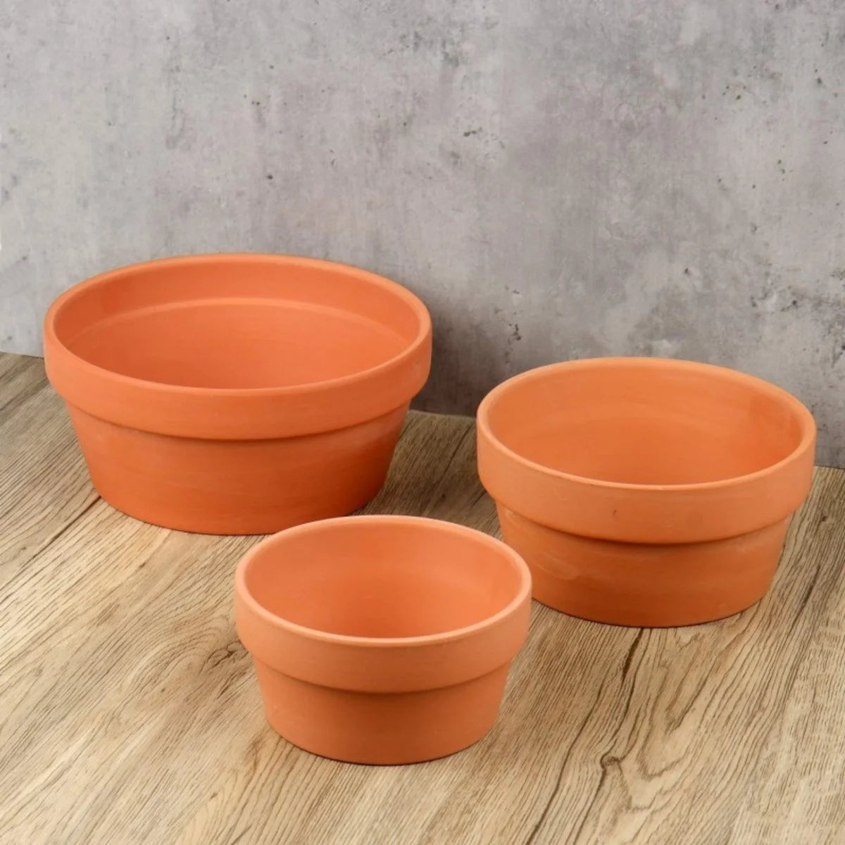 Set of 3 Shallow Terracotta Pots Plant Pots Clay Pottery Planter in Different Sizes(8.2inch/6.7inch/5.5inch) with Drainage Hole