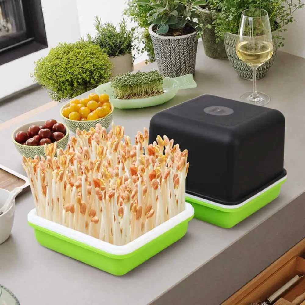 Clean Bean Sprout Plant Soilless Water Cultivation Peanut Garden Supplies Seedling Tray Sprout Planting Box Sprout Planting Pot