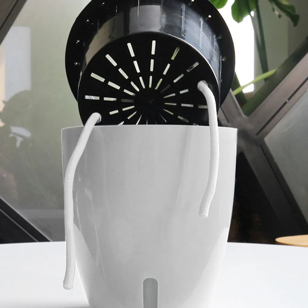 Easy To Maintain Self Watering Plant Pot For Herbs And Vegetables Flowers Flower Pots Durable