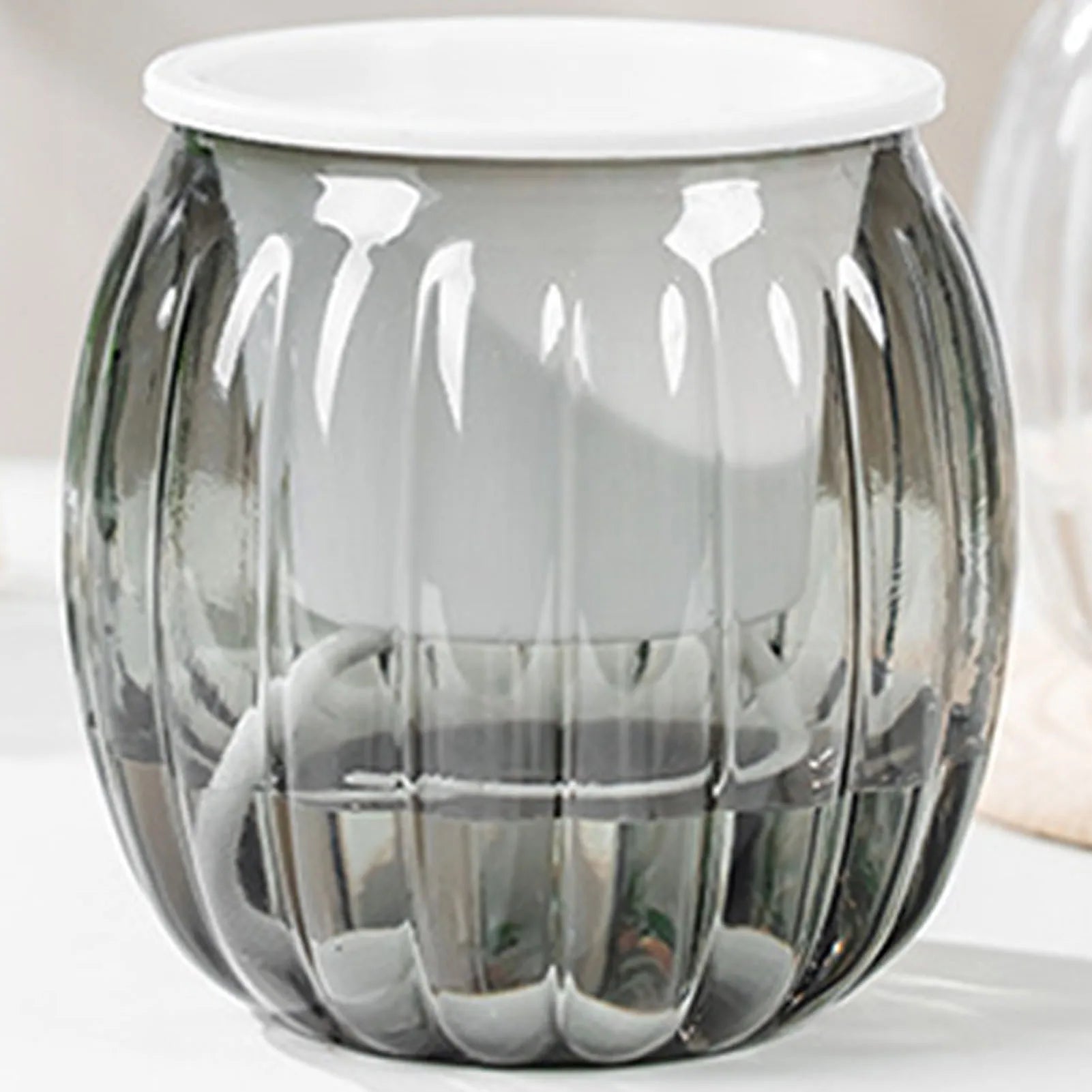 Clear Self Watering Planters Pots Modern Transparent Plants Care Pots for Garden Enthusiast Lover Gift