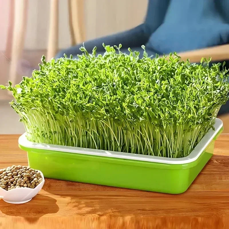 3/1PCS Germination Tray Plant Seeds Pot Garden Double Layer Arc Soilless Hydroponics Seedling Sprout Plate Gardening Accessories