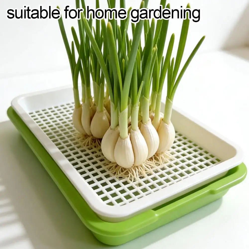 Soilless Planting Seedling Tray,Seed Sprouter Germination Tray for Growing, Bean Sprouts, Cat Grass, Wheat Grass, Mung Beans
