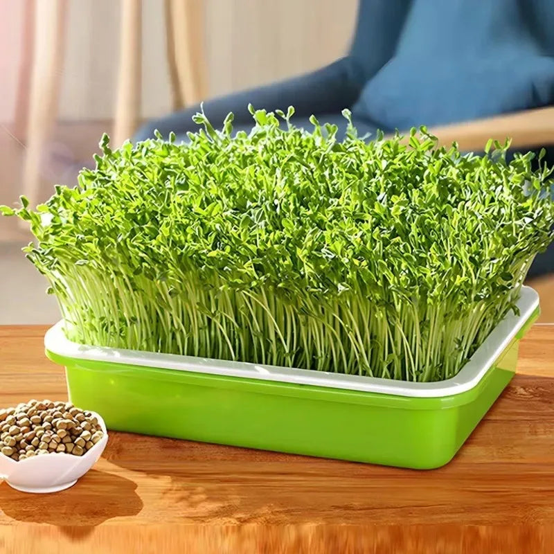 Garden Germination Tray Plant Seeds Pot Double Layer Arc Soilless Hydroponics Growing System Seedling Pots Gardening Accessories