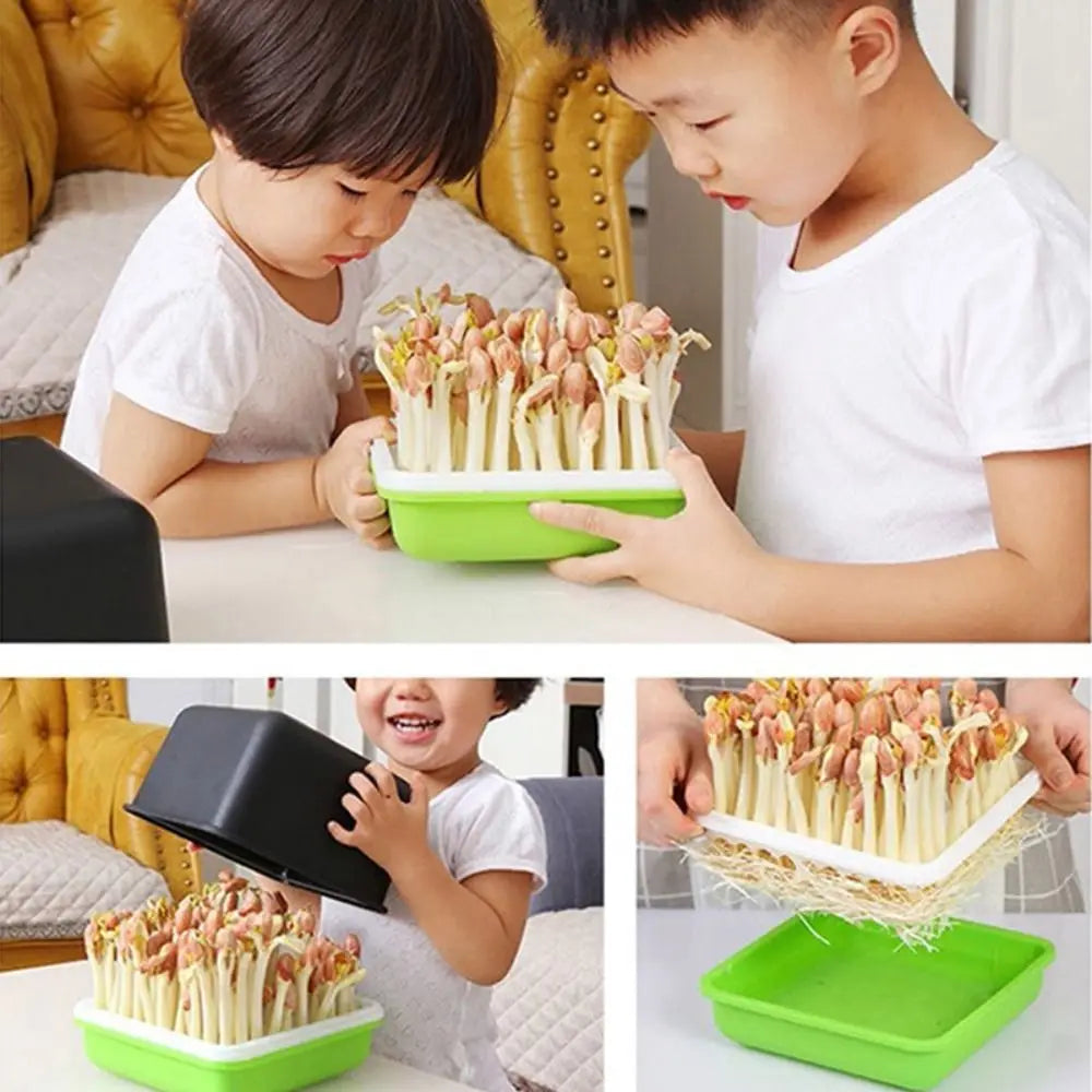 Clean Bean Sprout Plant Soilless Water Cultivation Peanut Garden Supplies Seedling Tray Sprout Planting Box Sprout Planting Pot