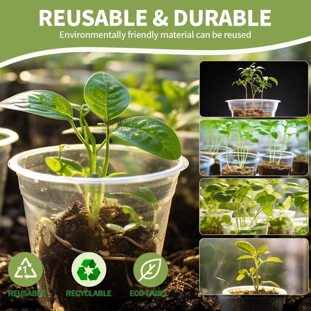 5pcs Watering Plant Pots With Saucers Set Transparent Plastic Flower Pot For Indoor Garden Orchid Succulents With Drainage Holes