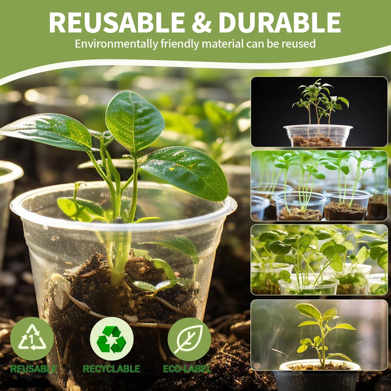 5pcs Watering Plant Pots With Saucers Set Transparent Plastic Flower Pot For Indoor Garden Orchid Succulents With Drainage Holes
