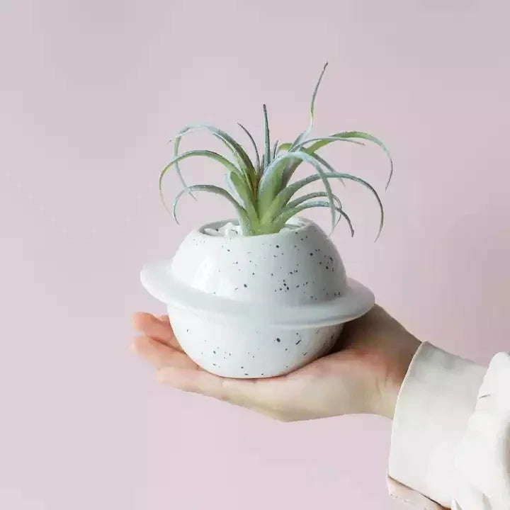 Plant Pot Creative Planet Ceramic Succulent Pot Round Planters Desktop Small Flower Pots Plant Flower Container Desktop Decor