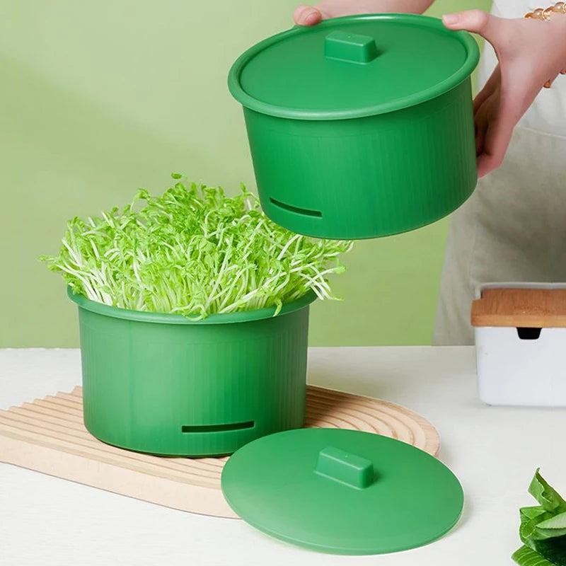 Seed Sprout Tray Garden Hydroponic Peanut Sprouting Box Pea Bean Seedling Sprouter Cat Grass Germination Soilless Planting Pot