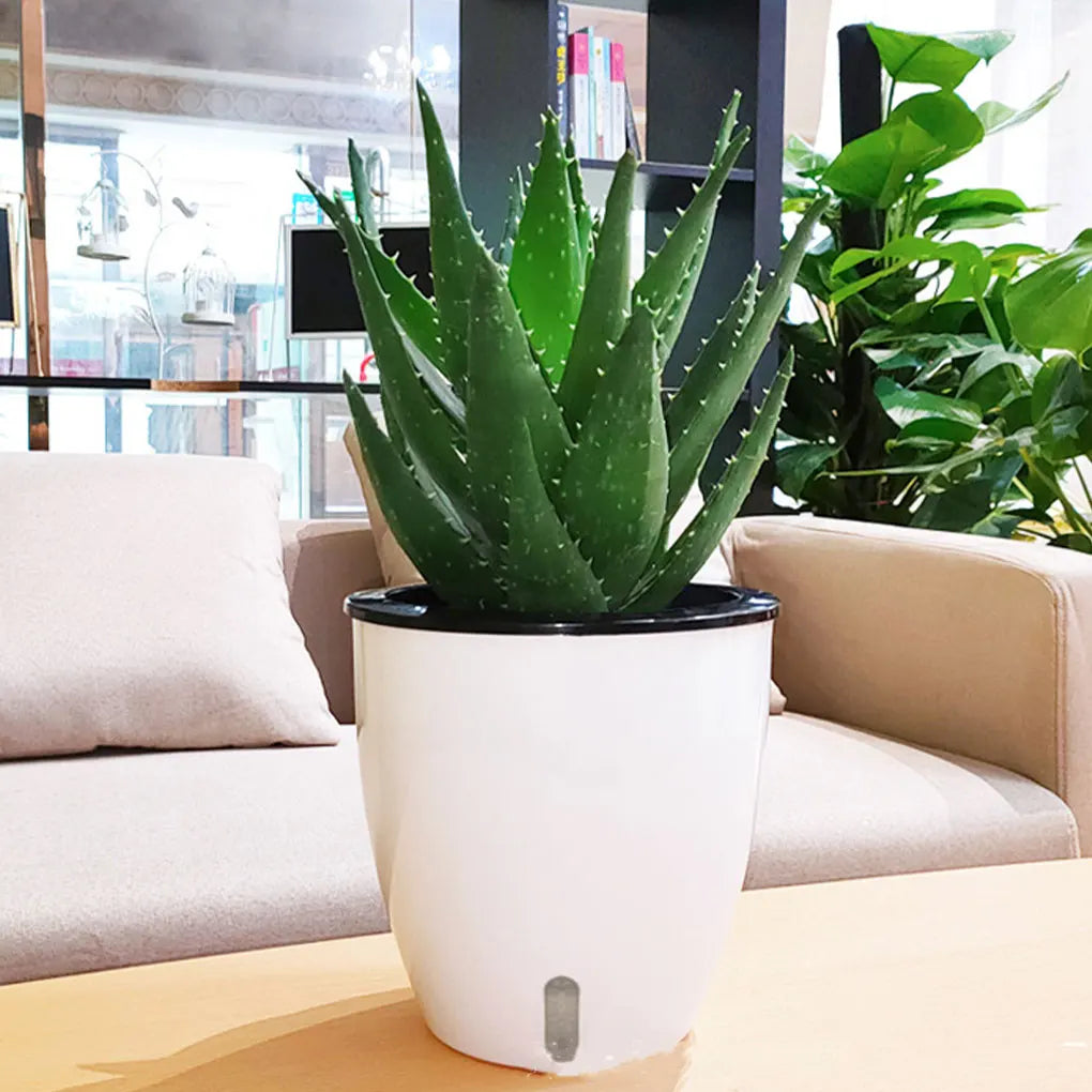 Easy To Maintain Self Watering Plant Pot For Herbs And Vegetables Flowers Flower Pots Durable