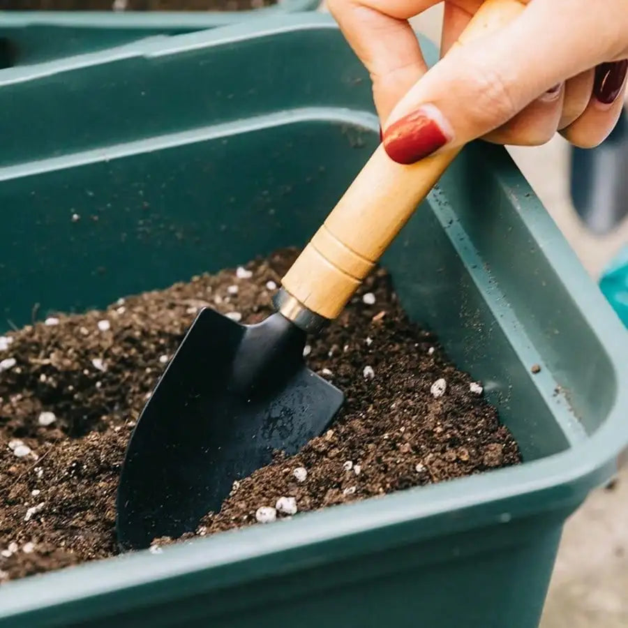 3PC/Set Mini Garden Tool Set Garden Indoor Small Plants Garden Tools With Handles Shovel Rake Portable Hand Planting Tools