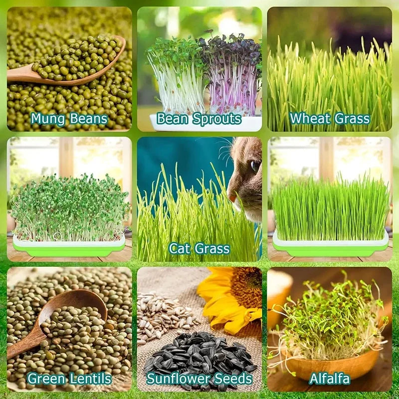 3/1PCS Germination Tray Plant Seeds Pot Garden Double Layer Arc Soilless Hydroponics Seedling Sprout Plate Gardening Accessories