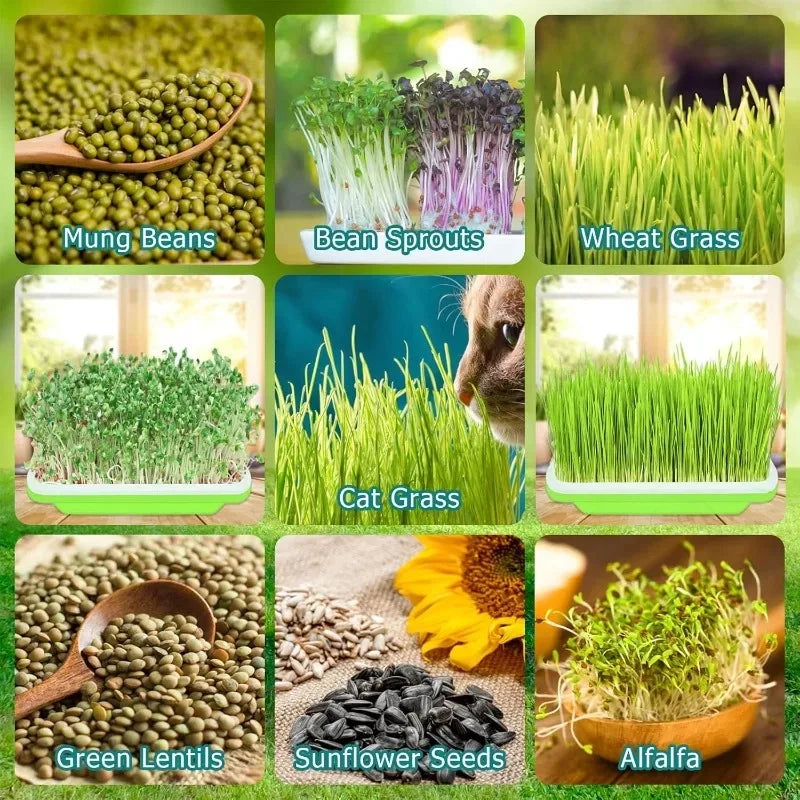 Garden Germination Tray Plant Seeds Pot Double Layer Arc Soilless Hydroponics Growing System Seedling Pots Gardening Accessories