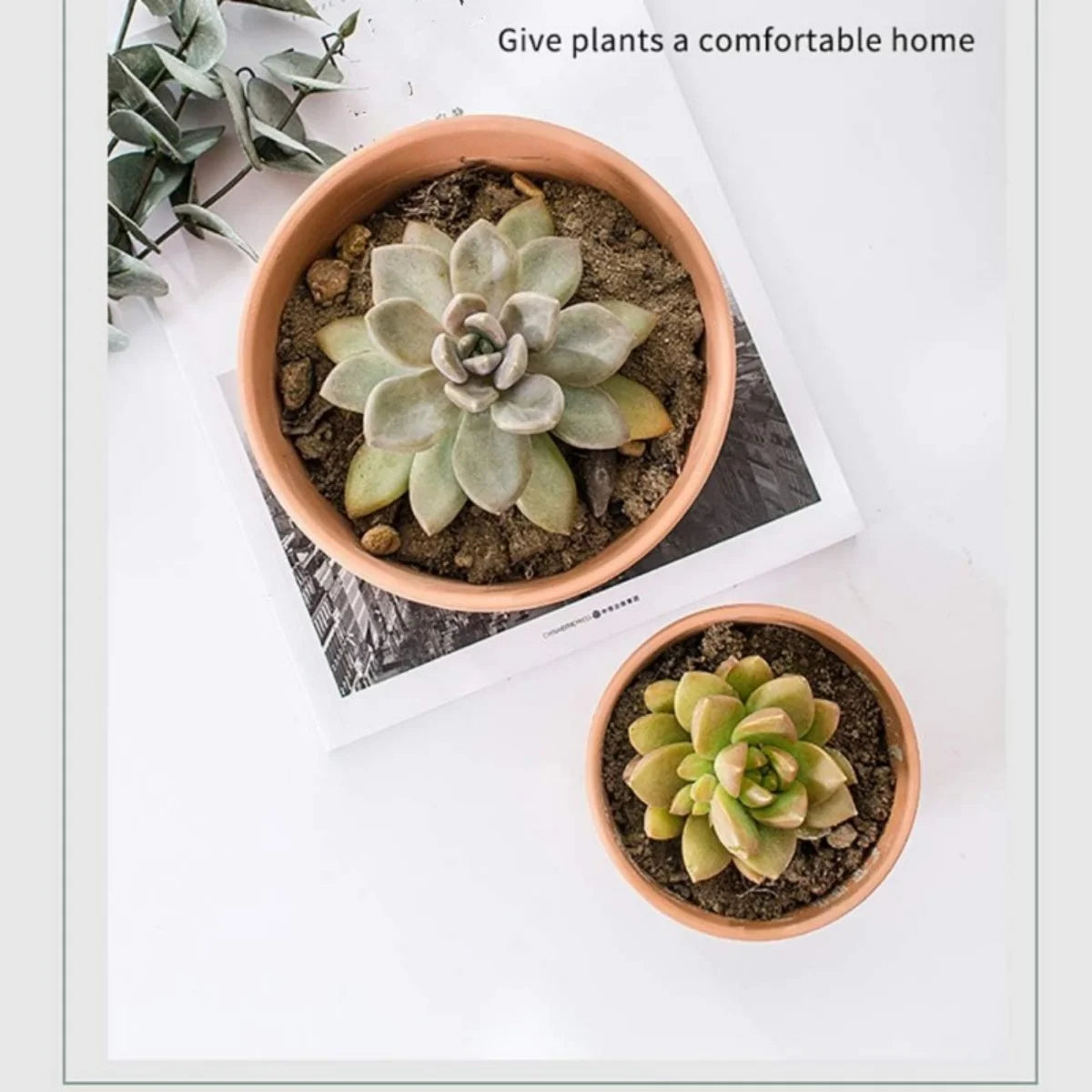 Set of 3 Shallow Terracotta Pots Plant Pots Clay Pottery Planter in Different Sizes(8.2inch/6.7inch/5.5inch) with Drainage Hole