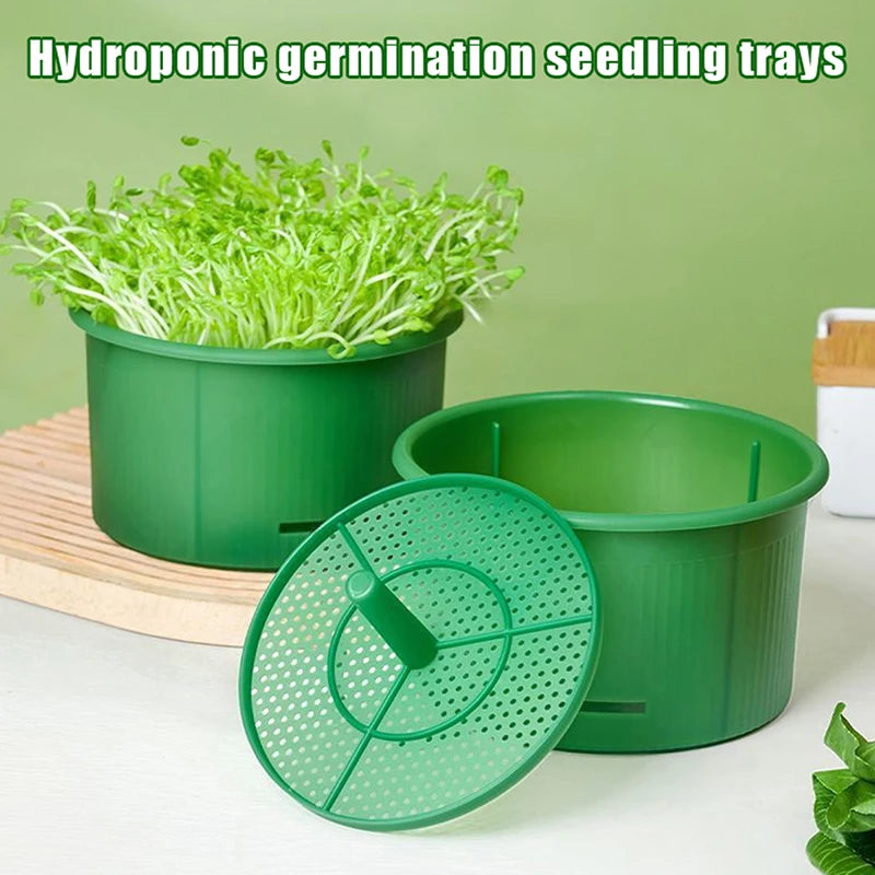 Seed Sprout Tray Garden Hydroponic Peanut Sprouting Box Pea Bean Seedling Sprouter Cat Grass Germination Soilless Planting Pot
