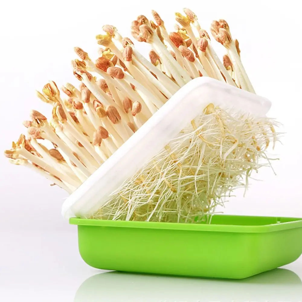 Clean Bean Sprout Plant Soilless Water Cultivation Peanut Garden Supplies Seedling Tray Sprout Planting Box Sprout Planting Pot