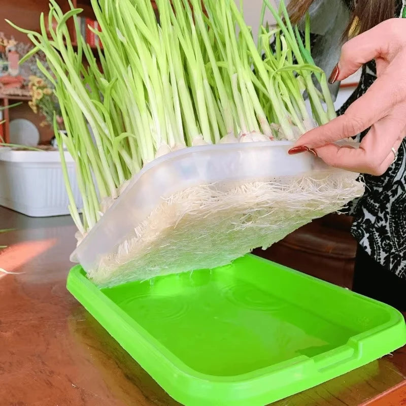 3/1PCS Germination Tray Plant Seeds Pot Garden Double Layer Arc Soilless Hydroponics Seedling Sprout Plate Gardening Accessories