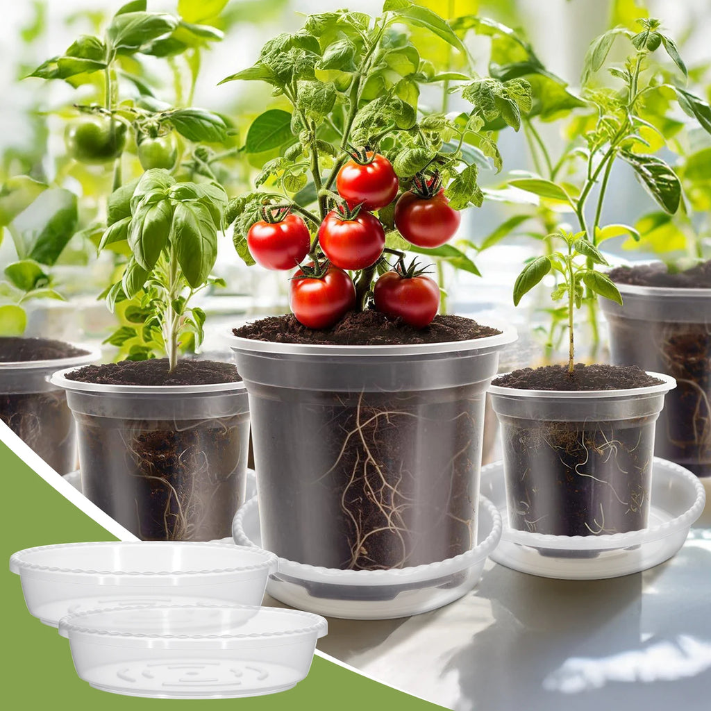 5pcs Watering Plant Pots With Saucers Set Transparent Plastic Flower Pot For Indoor Garden Orchid Succulents With Drainage Holes