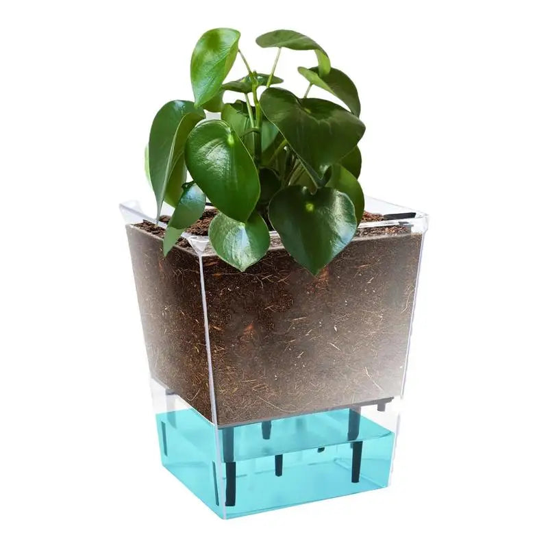 Self Watering Pots 5.9 Inch Self Watering Planter Pot Transparent Decorative Household Vase Flower Pots with Ventilation Holesl
