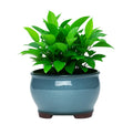 Ceramic Garden Planter Pots Ceramic Plant Pots with Drainage Holes for Indoor Flowers Cactus Herbs Aloes