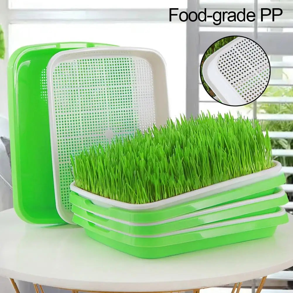 Home Seed Germination Tray Sprout Vegetable Seedling Tray Soilless Cultivation Hydroponic Equipment Plant Nursery Pots