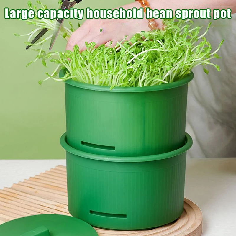 Seed Sprout Tray Garden Hydroponic Peanut Sprouting Box Pea Bean Seedling Sprouter Cat Grass Germination Soilless Planting Pot