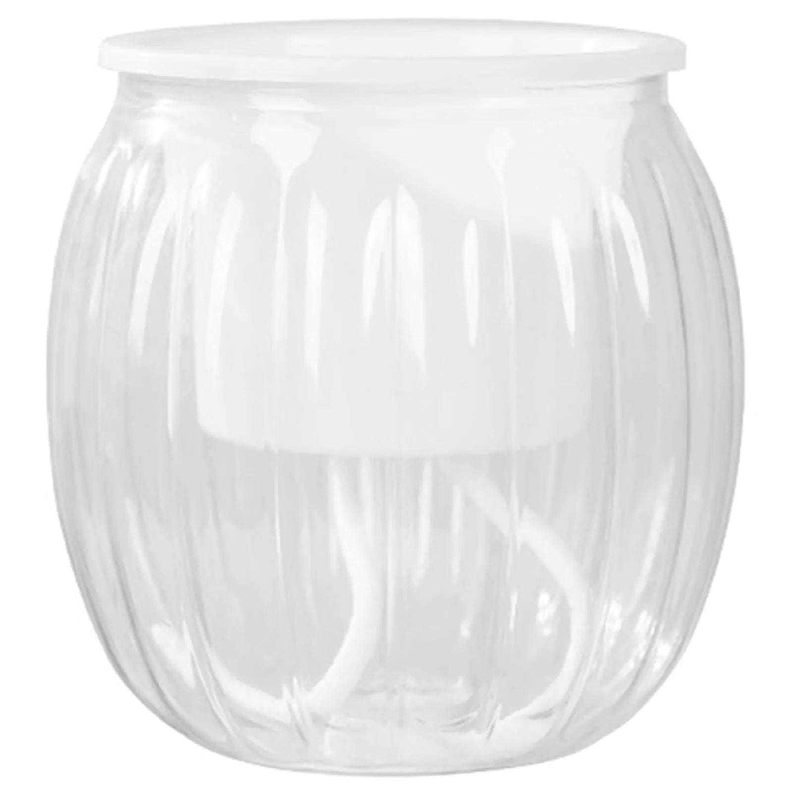 Clear Self Watering Planters Pots Modern Transparent Plants Care Pots for Garden Enthusiast Lover Gift