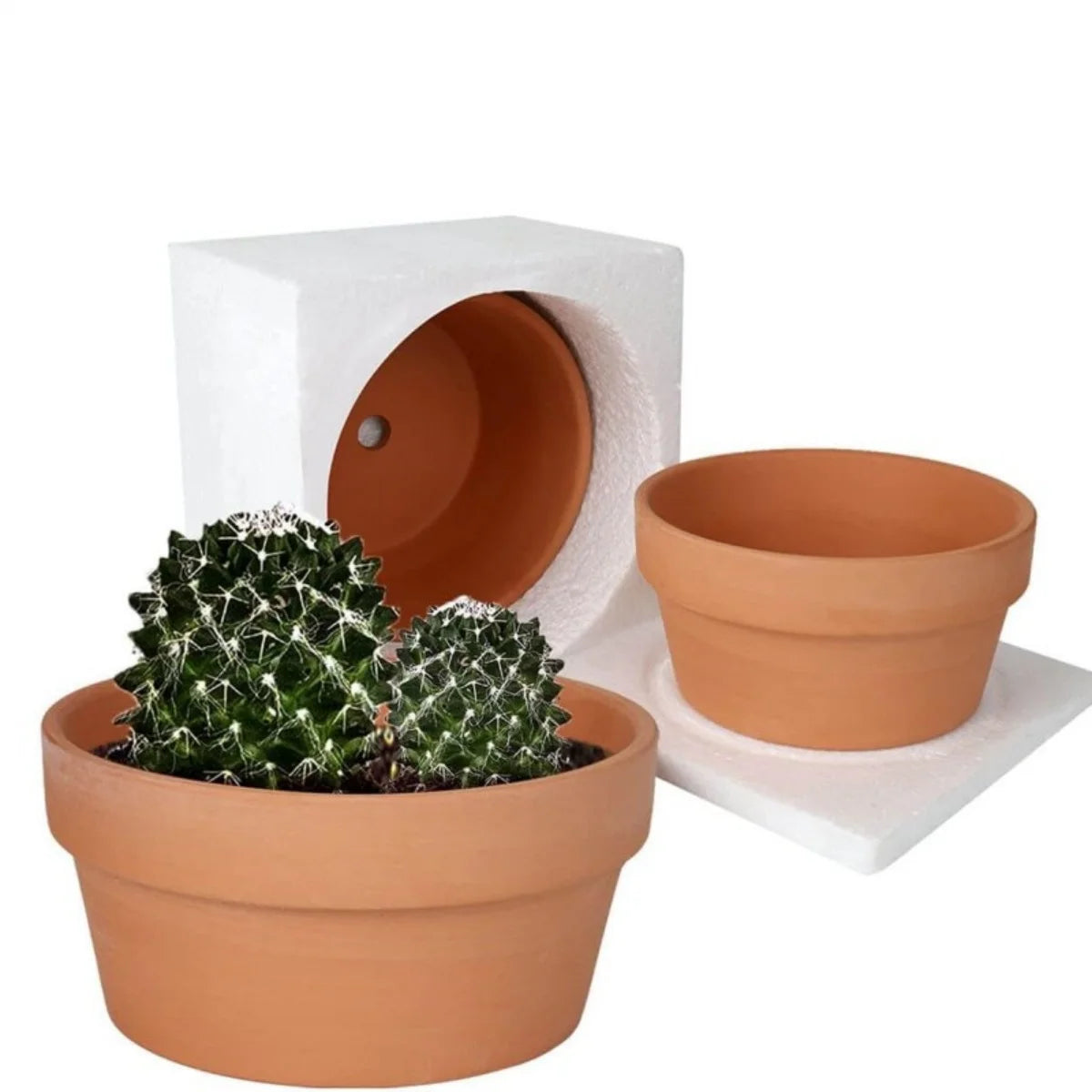 Set of 3 Shallow Terracotta Pots Plant Pots Clay Pottery Planter in Different Sizes(8.2inch/6.7inch/5.5inch) with Drainage Hole