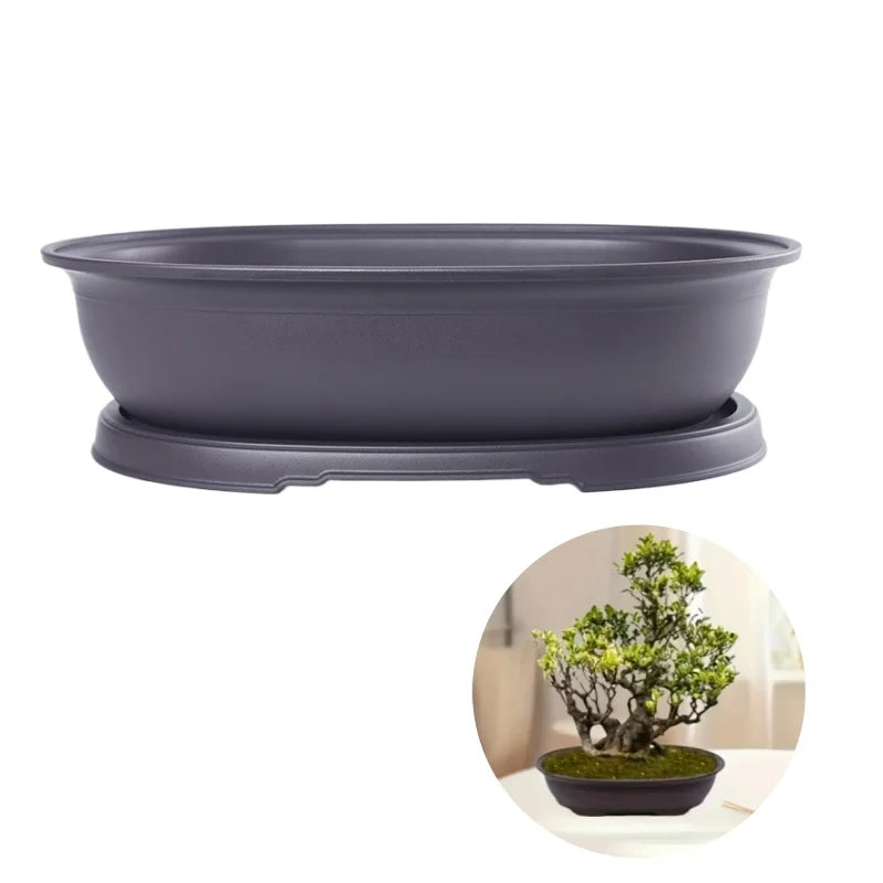 Oval-Shaped Pleastic Flowerpots Garden Plants Pot With Drainage Trays Cacti Bonsai Home Desktop Pots Decoration Accessories