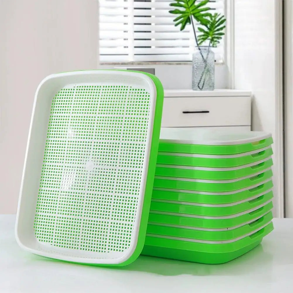 Home Seed Germination Tray Sprout Vegetable Seedling Tray Soilless Cultivation Hydroponic Equipment Plant Nursery Pots