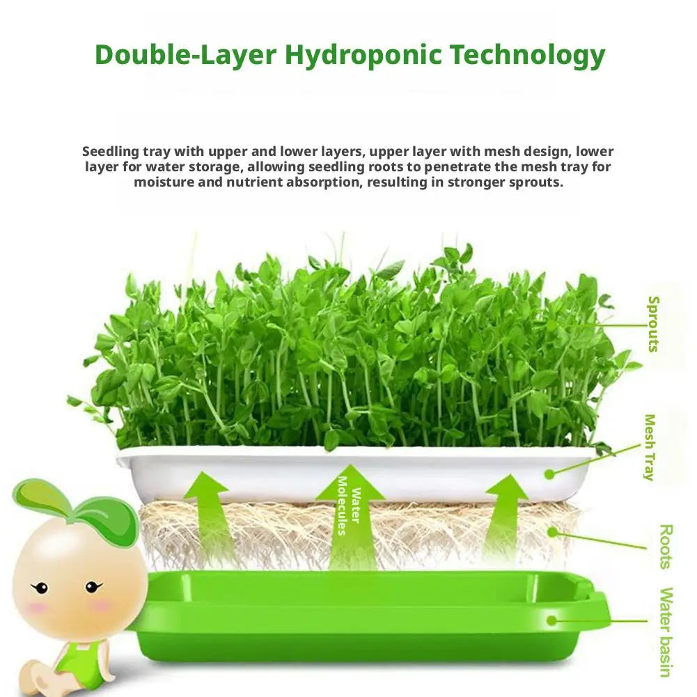 Home Seed Germination Tray Sprout Vegetable Seedling Tray Soilless Cultivation Hydroponic Equipment Plant Nursery Pots