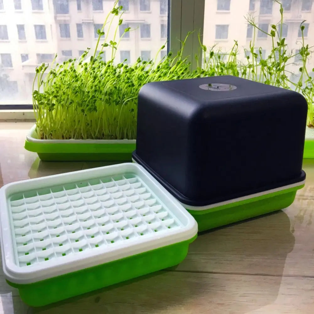 Plant Hydroponic Bean Sprout Soilless Water Cultivation Garden Supplies Sprout Planting Pot Seedling Tray Sprout Planting Box