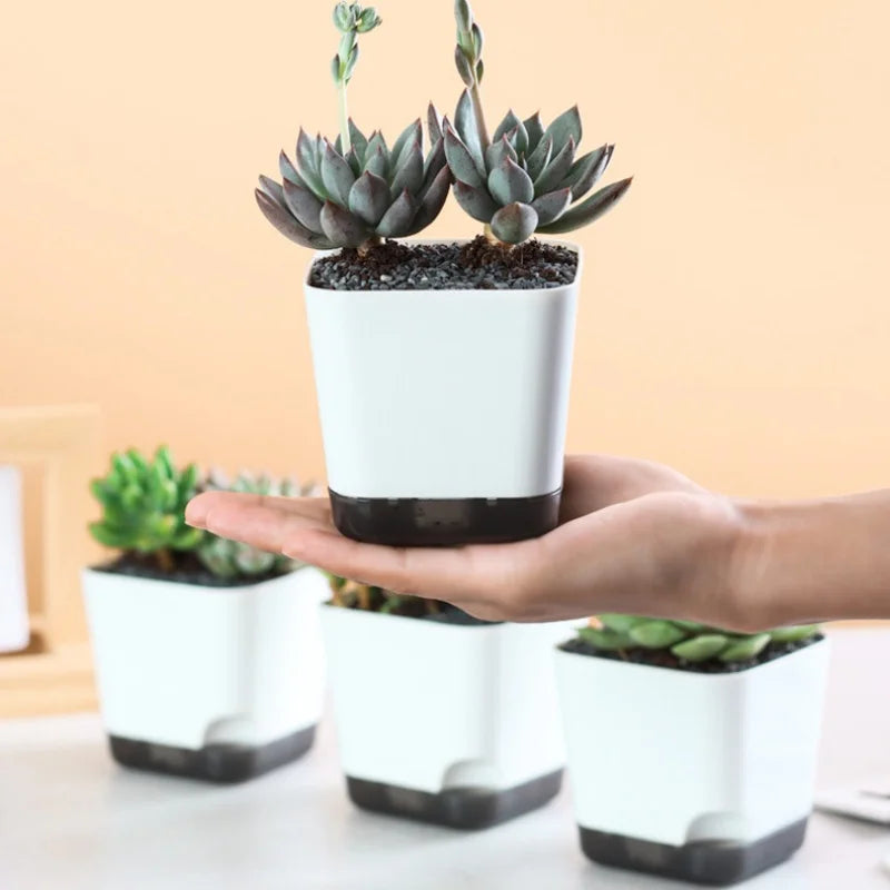 5Pcs Self Watering Plant Pot, Flower Planters, Modern Flower Pots with Water Reservoir, Mini Plant Pots Herb Garden Planter