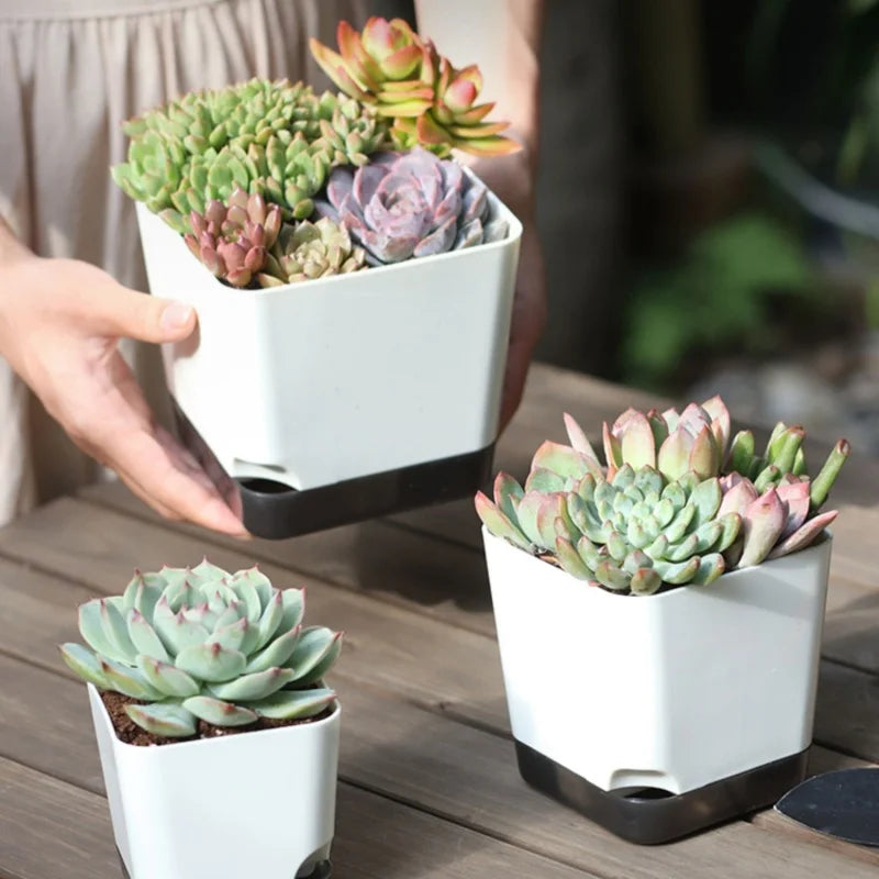 5Pcs Self Watering Plant Pot, Flower Planters, Modern Flower Pots with Water Reservoir, Mini Plant Pots Herb Garden Planter