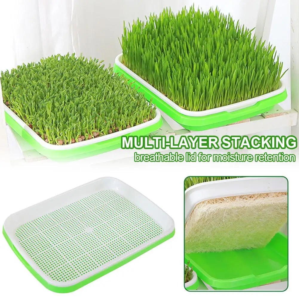 Home Seed Germination Tray Sprout Vegetable Seedling Tray Soilless Cultivation Hydroponic Equipment Plant Nursery Pots