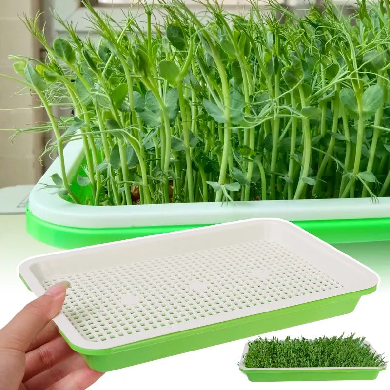 Garden Germination Tray Plant Seeds Pot Double Layer Arc Soilless Hydroponics Growing System Seedling Pots Gardening Accessories