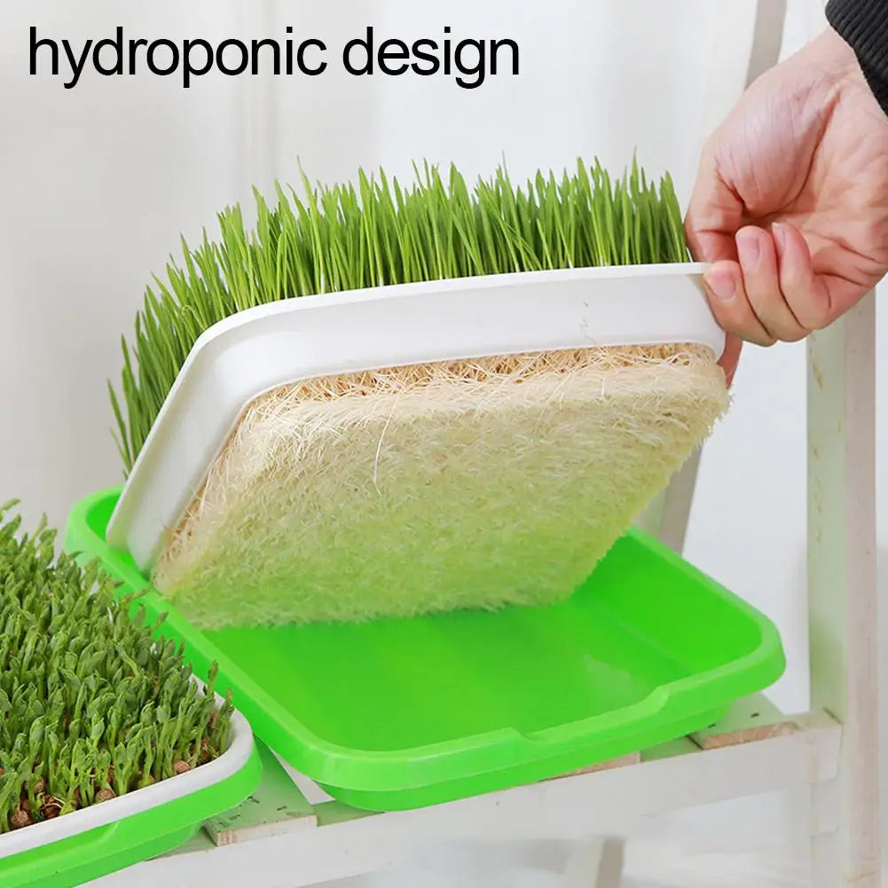 Home Seed Germination Tray Sprout Vegetable Seedling Tray Soilless Cultivation Hydroponic Equipment Plant Nursery Pots